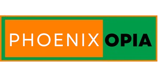 Innovative Business Solutions For Success Company